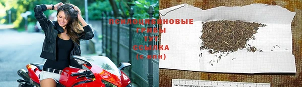 спайс Армянск