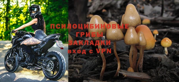 каннабис Арсеньев