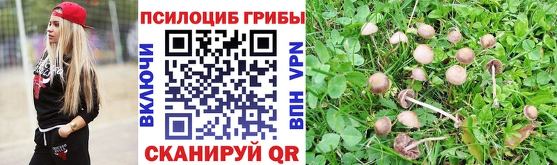 Галлюциногенные грибы Cubensis  Михайлов 
